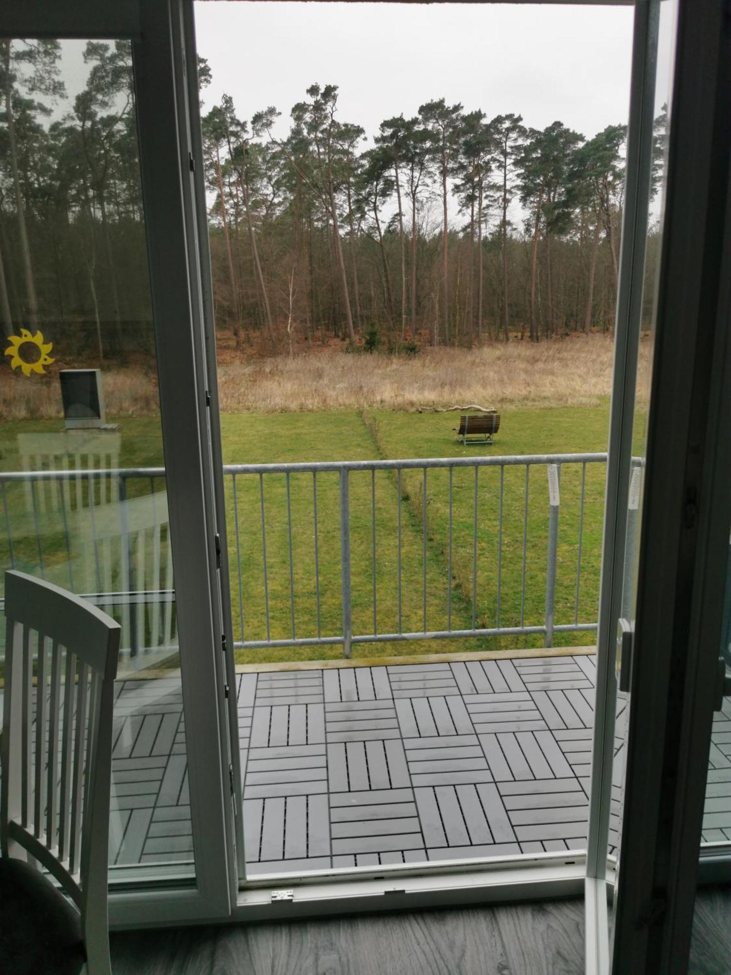 Kueste Und Wald