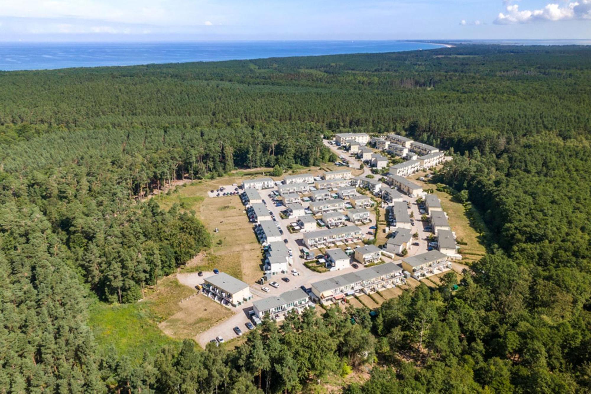 Kueste Und Wald Gelbensande